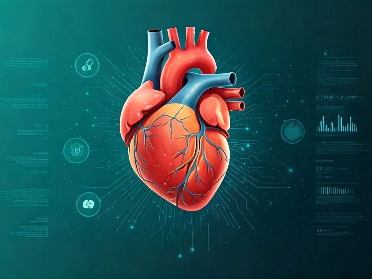  bookmark Un nouveau test d'Intelligence Artificielle révolutionne le diagnostic des maladies cardiaques