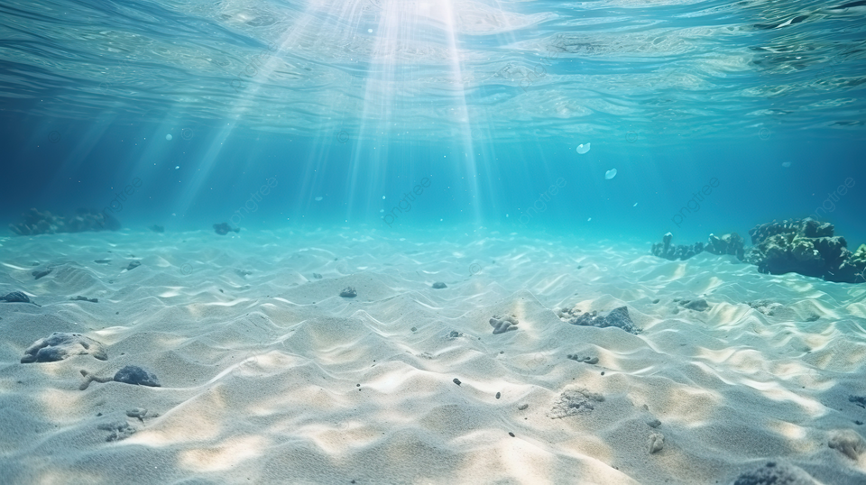 Océans: Donald Trump entend ouvrir l'exploitation minière dans les eaux internationales