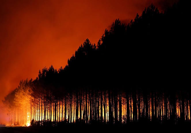 Plus de 220.000 personnes évacuées dans le sud-ouest de la France à cause d'un incendie