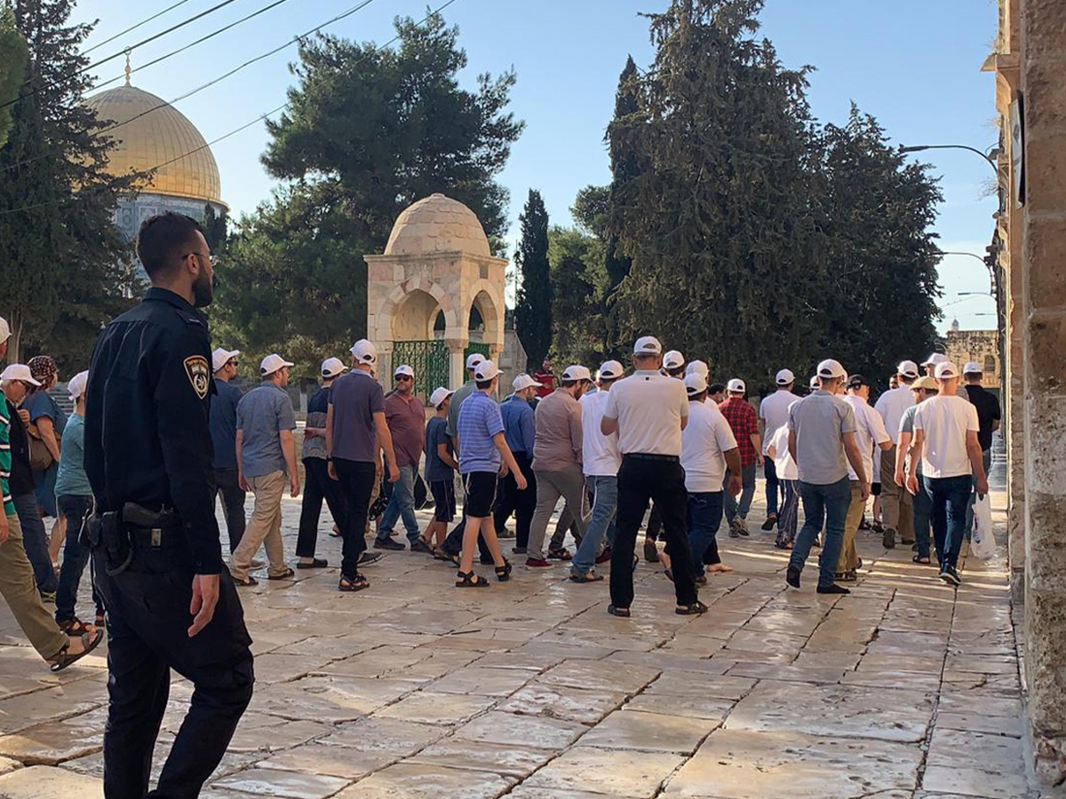  bookmark Des colons prennent d'assaut Al-Aqsa sous la protection de l'occupation israélienne