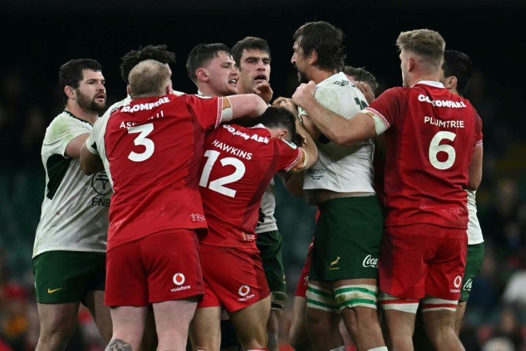 L'Afrique du Sud atomise le pays de Galles 73-0 à Cardiff, Etzebeth voit rouge