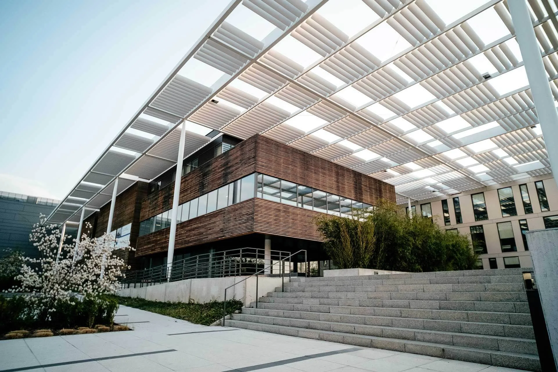 Review of International Basketball Tournaments and Player Performances