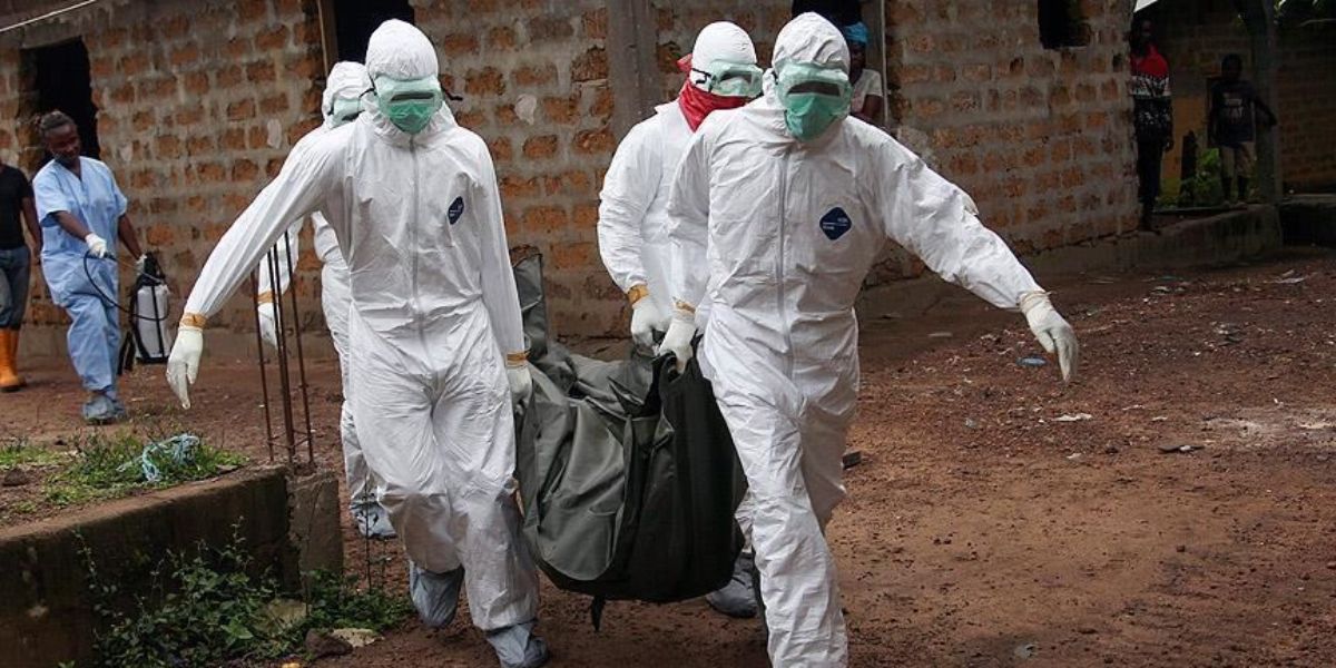 Sénégal : le nombre de victimes de la fièvre de la vallée du Rift s'alourdit à 10 morts (officiel)