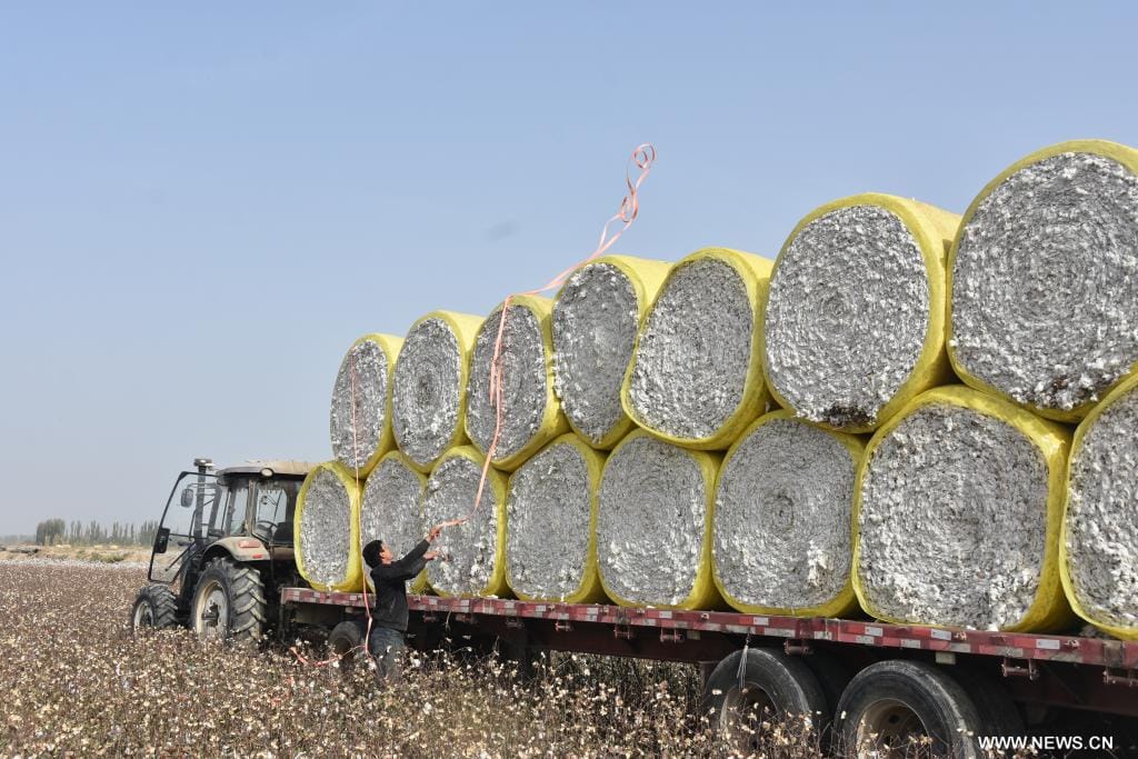 Sénégal : de fortes productions de céréales et de coton récoltées en 18 mois