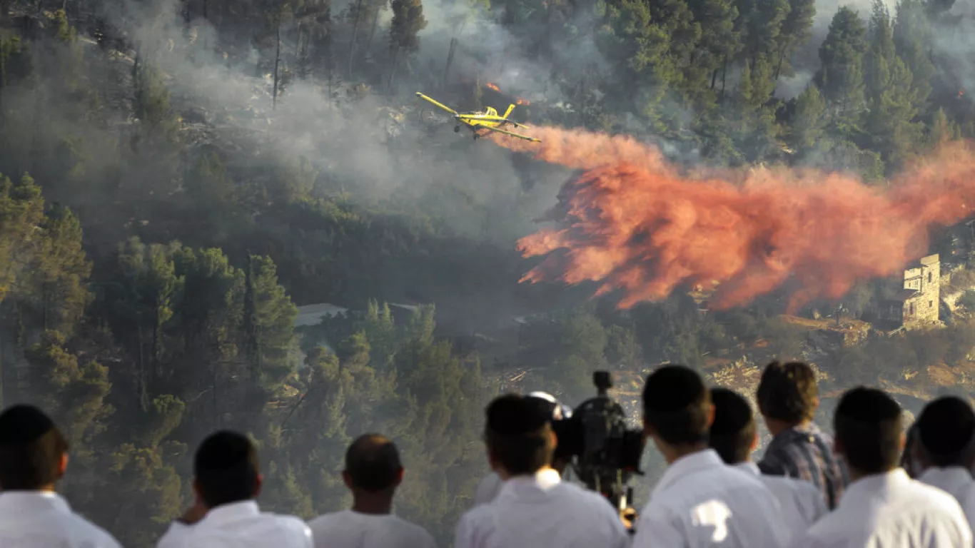 Israël : d'importants feux de forêt menacent Jérusalem