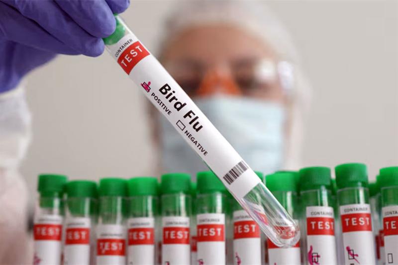 Les Etats-Unis vont consacrer 300 millions de dollars à la lutte contre la grippe aviaire