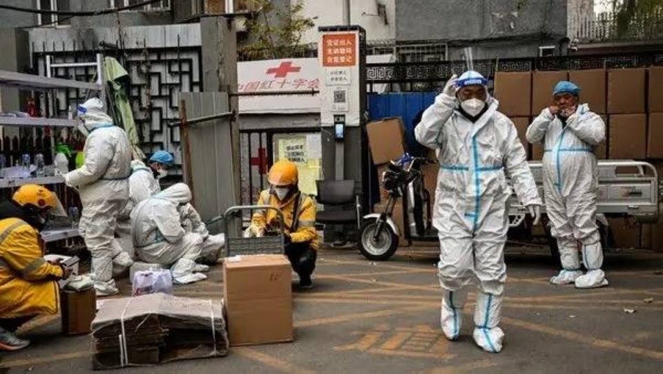 France hexagonale : plus de 700 cas autochtones de chikungunya depuis mai